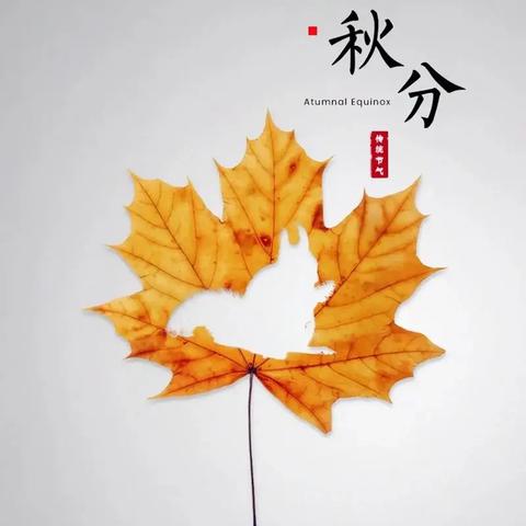 秋分迎秋意，萌娃庆丰收 ——蓟州区第八幼儿园秋分与丰收节活动