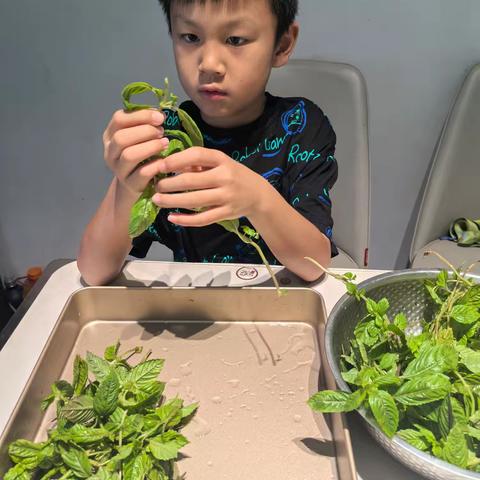 清凉一夏——自制仙草糕 二（3）班 万晨涛