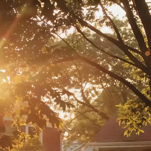 【班班通百字同行营】五年级列数字说明方法小练笔