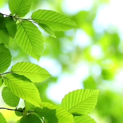 【绘彩童心❤️绘画童年】 群英幼儿园中2️⃣班第14周美篇