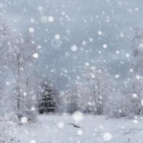 冒雪奋战, 暖心服务