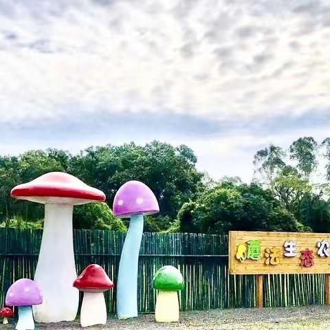 亲近大自然，小小农场主——金娃娃幼儿园中2班2024蘑法农场之旅