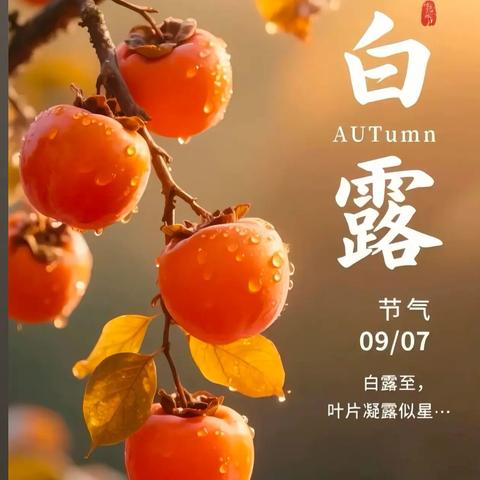 国防大学幼儿园（石家庄园）每周食谱