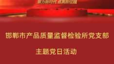 邯郸市产品质量监督检验所党支部主题党日活动-党员领导干部、党支部书记讲党课