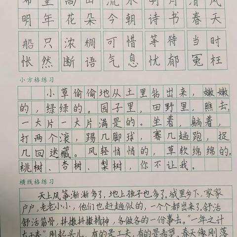 三沙源上游学校 初一三班书法日常作业书写