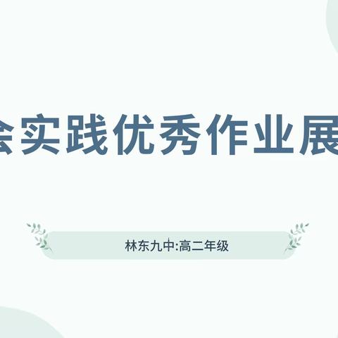 巴林左旗林东第九中学2024年寒假社会实践活动——高二年级优秀作业展示（4）