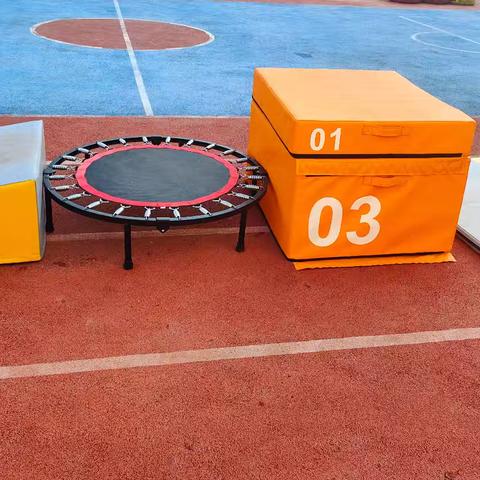 聚焦体能循环 探索运动奥秘