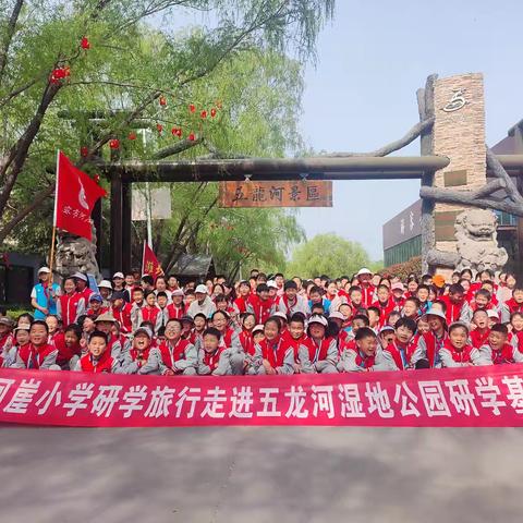 河崖小学研学旅行走进五龙河湿地公园研学基地
