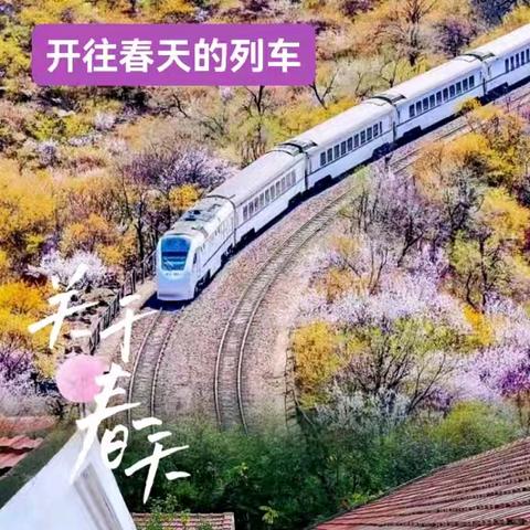 《私域直播·文旅在线》颠覆行业内卷·精准引流·“夕阳妈妈”成功逆袭