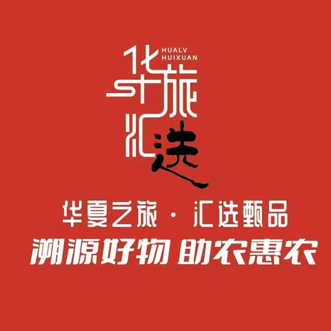 《破局·旅游·内卷》“私域直播文旅在线”·实现零成本盈利·72小时精准引流3000人·转化率75%