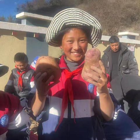 劳动淬炼成长 实践创造幸福 ——我校成功开展挖土豆劳动实践课