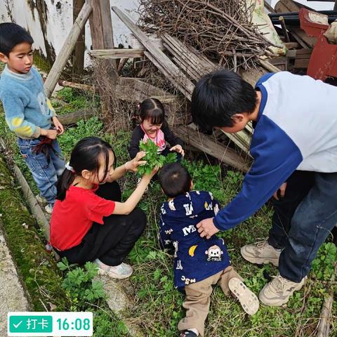 2024年3月遂川县珠田镇南村村阳光驿站开展了“悠悠艾草香，青青艾米果”主题活动