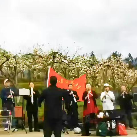 梨花山中奏夕阳 ——龙山老年大学电吹管班户外教学