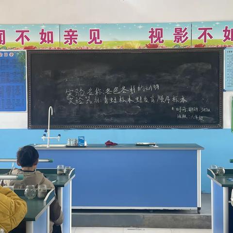 实验，开启科学探究之门——邱县谢里庄小学