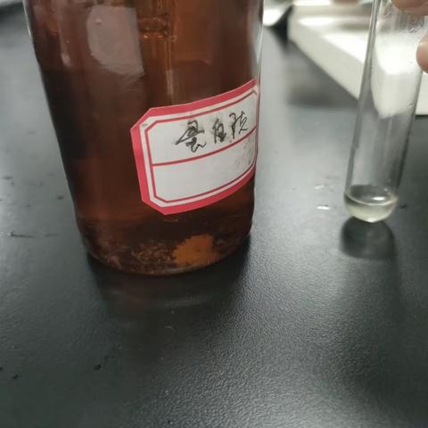 蛋白质的性质