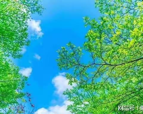 这片风景独好                                ——记一次特殊的读书会