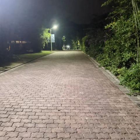 南山