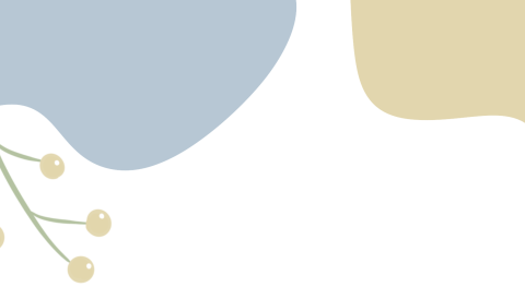 童年有书 未来有梦 打开绘本看世界 让阅读陪伴童年 幼儿园第118期周末绘本推荐—《别让怪兽抓孩子》