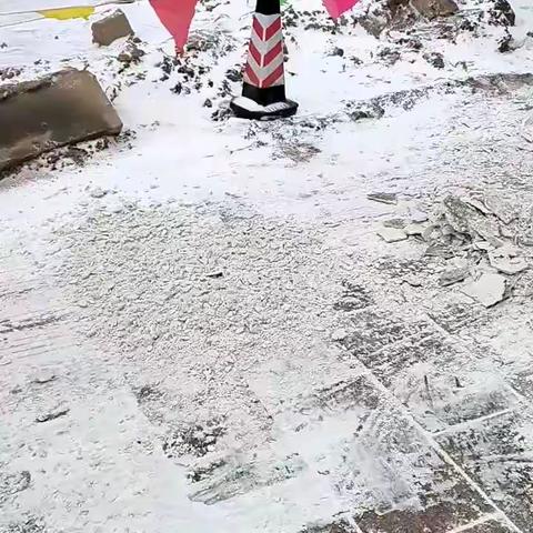 龙年春雪