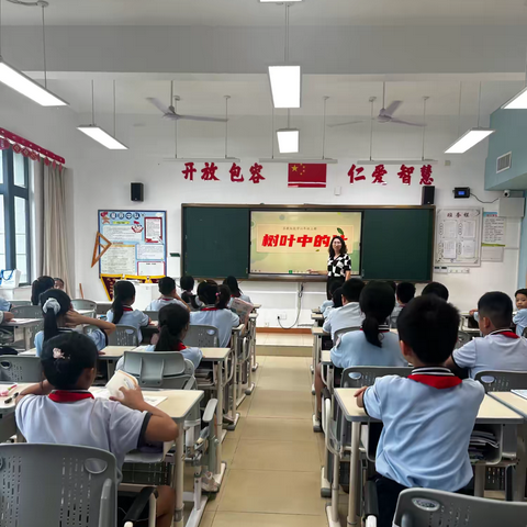 一片树叶串起多科智慧！-记《树叶中的比》公开课