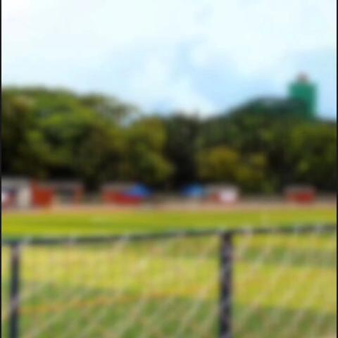 我们毕业了！同窗数载，我们共同成长，共同进步。