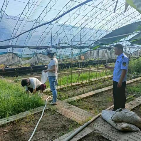 蓟州区农业执法支队加强上合峰会期间农产品质量安全执法检查