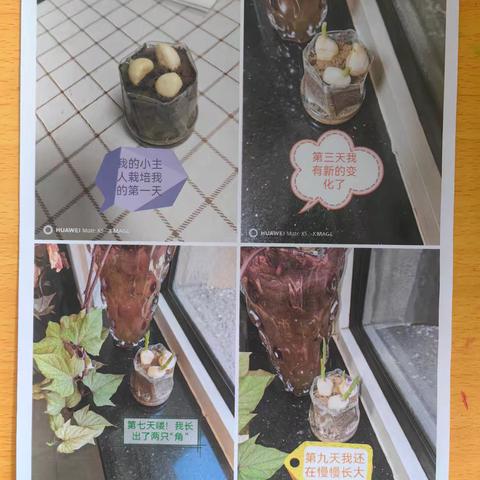 润物无声，育人有爱