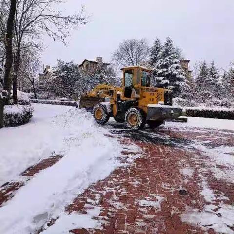 大雪如期而至!扫雪除冰暖人心 蕴泉社区各物业“人”在行动