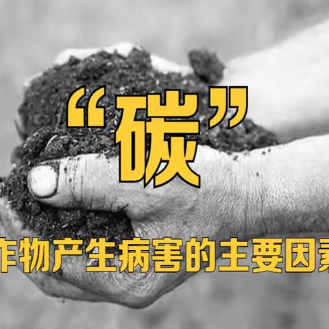 碳肥时代掌握作物提质增产密码