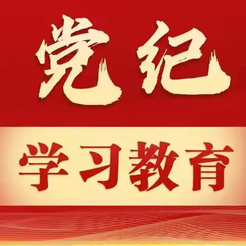 “学条例 守纪律 提高综融审批政策能力”——授信审批部第二党支部多种形式学条例，提升党纪学习实效