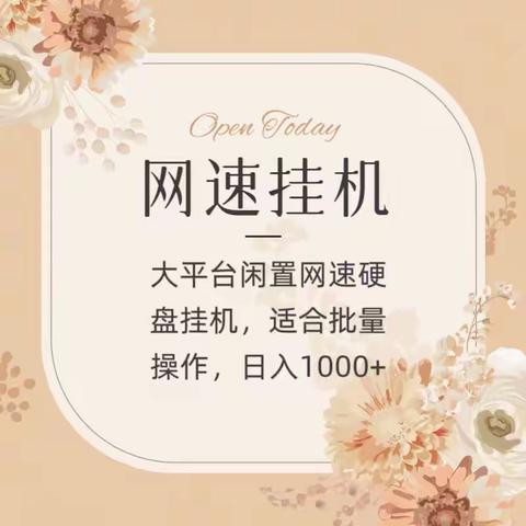 闲置网络硬盘挂机，单号月赚300+