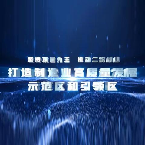 坚持项目为王 推动二次创业  打造制造业高质量发展示范区和引领区