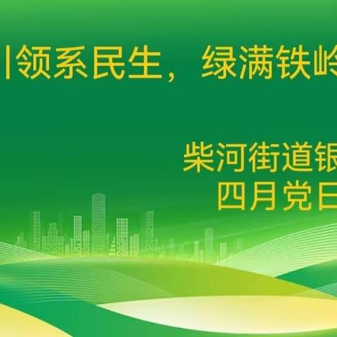 银北社区4月党日活动