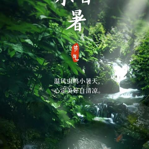 小暑悄然至，盛夏悠悠始——节气之小暑