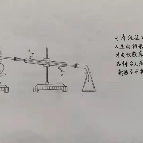 我的初中实验报告单 郝艺琳