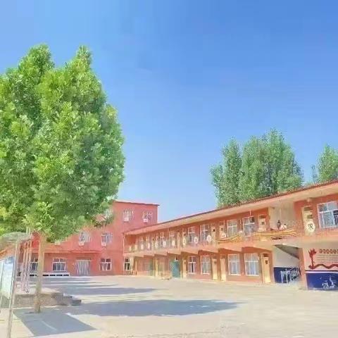 迪瑞特小学的校园生活掠影