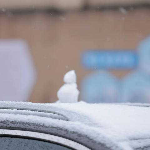 初心似白雪，志愿如有约