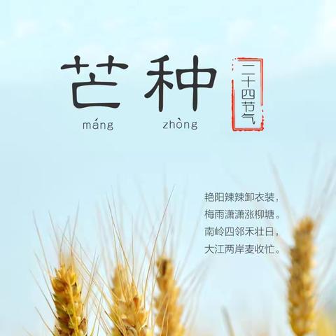 鹤乐三班“芒种至，仲夏始”主题升旗仪式