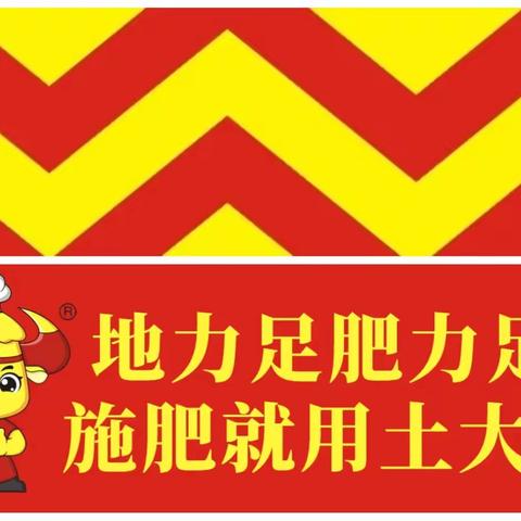 “化繁至简、攻克难关！” 土大厨引领农业进步！