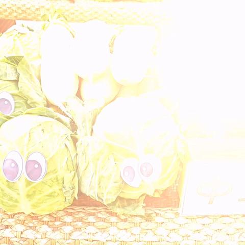 中三班十一月成长足迹