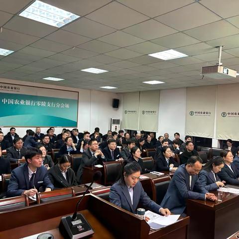 零陵支行召开2025年“春天行动”综合金融服务启动会