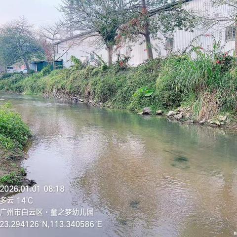 2026年1月1日对营溪村辖内沙坑涌、左干渠、和龙排渠、高田鱼塘和旧桔园鱼塘开展日常河涌巡查工作，及对河涌水质进行氨氮浓度检测，检测情况正常。