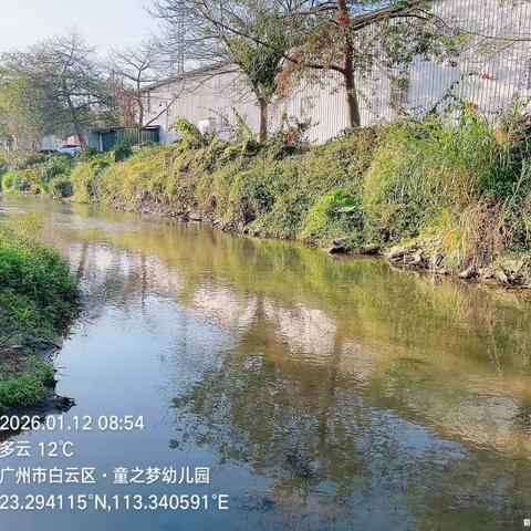 2026年1月12日对营溪村辖内沙坑涌、左干渠、和龙排渠、高田鱼塘和旧桔园鱼塘开展日常河涌巡查工作，及对河涌水质进行氨氮浓度检测，检测情况正常。