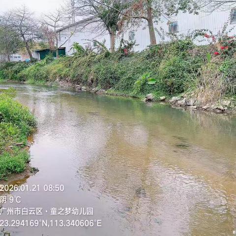2026年1月21日对营溪村辖内沙坑涌、左干渠、和龙排渠、高田鱼塘和旧桔园鱼塘开展日常河涌巡查工作，及对河涌水质进行氨氮浓度检测，检测情况正常。
