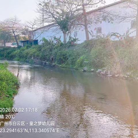 2026年2月2日对营溪村辖内沙坑涌、左干渠、和龙排渠、高田鱼塘和旧桔园鱼塘开展日常河涌巡查工作，及对河涌水质进行氨氮浓度检测，检测情况正常。