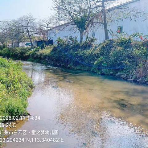 2026年2月11日对营溪村辖内沙坑涌、左干渠、和龙排渠、高田鱼塘和旧桔园鱼塘开展日常河涌巡查工作，及对河涌水质进行氨氮浓度检测，检测情况正常。