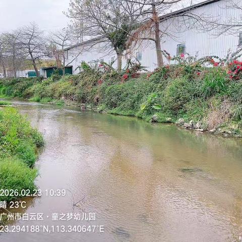 2026年2月23日对营溪村辖内沙坑涌、左干渠、和龙排渠、高田鱼塘和旧桔园鱼塘开展日常河涌巡查工作，及对河涌水质进行氨氮浓度检测，检测情况正常。