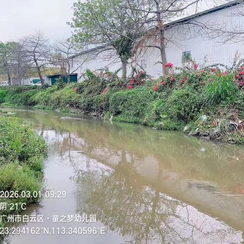 2026年3月1日对营溪村辖内沙坑涌、左干渠、和龙排渠、高田鱼塘和旧桔园鱼塘开展日常河涌巡查工作，及对河涌水质进行氨氮浓度检测，氨氮浓度达到10偏高。