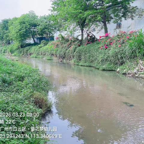 2026年3月23日对营溪村辖内沙坑涌、左干渠、和龙排渠、高田鱼塘和旧桔园鱼塘开展日常河涌巡查工作，及对河涌水质进行氨氮浓度检测，检测情况正常。