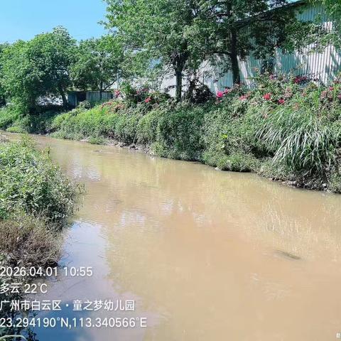 2026年4月1日对营溪村辖内沙坑涌、左干渠、和龙排渠、高田鱼塘和旧桔园鱼塘开展日常河涌巡查工作，及对河涌水质进行氨氮浓度检测，检测情况正常。